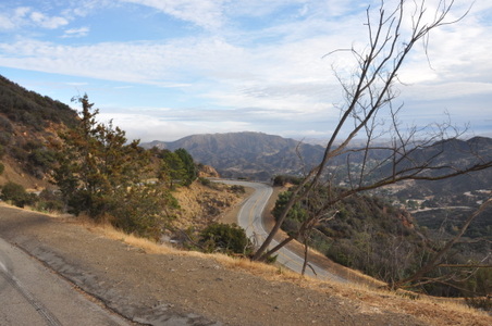 Enlarge photo 34