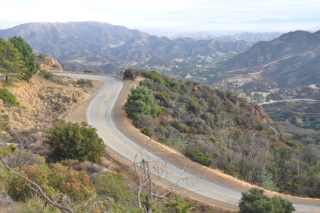 Enlarge photo 35