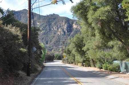 Enlarge photo 40