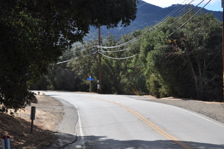 Enlarge photo 45