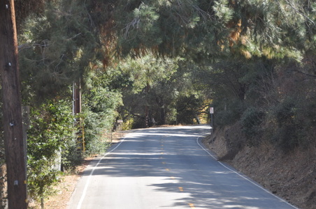 Enlarge photo 4