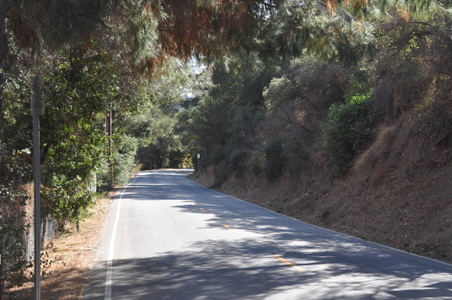 Enlarge photo 5