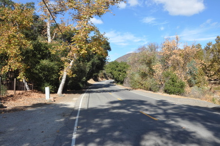 Enlarge photo 7