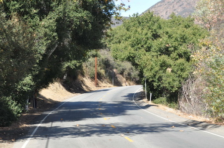 Enlarge photo 8