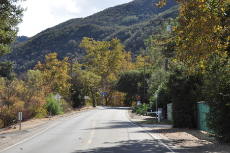 Enlarge photo 10
