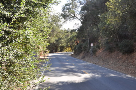 Enlarge photo 13
