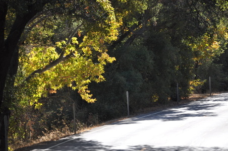 Enlarge photo 18