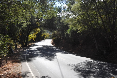 Enlarge photo 19