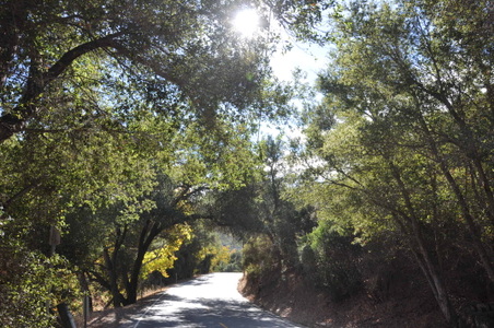 Enlarge photo 20