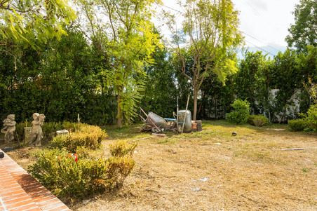 Enlarge photo 74