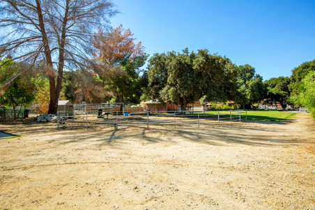 Enlarge photo 62