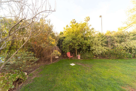 Enlarge photo 59