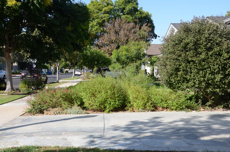 Enlarge photo 8