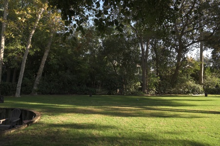 Enlarge photo 6