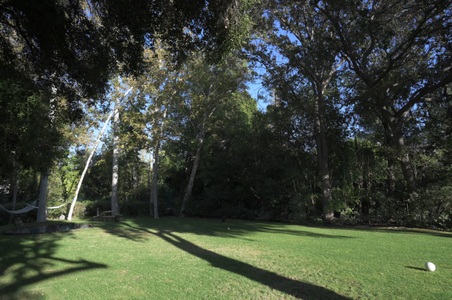 Enlarge photo 28