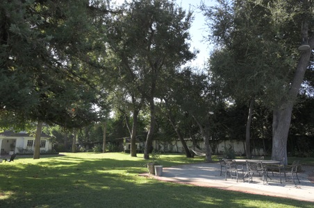 Enlarge photo 42