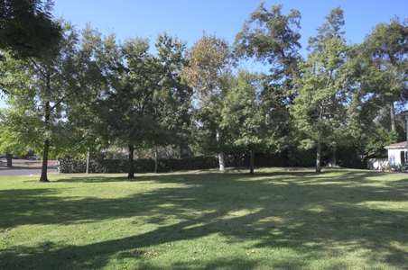 Enlarge photo 53