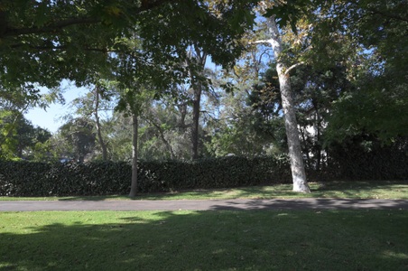 Enlarge photo 55