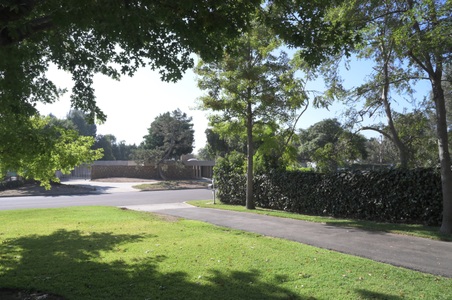 Enlarge photo 56
