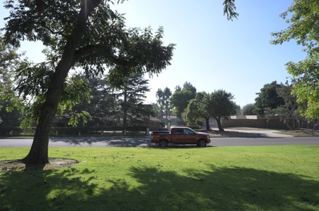 Enlarge photo 61