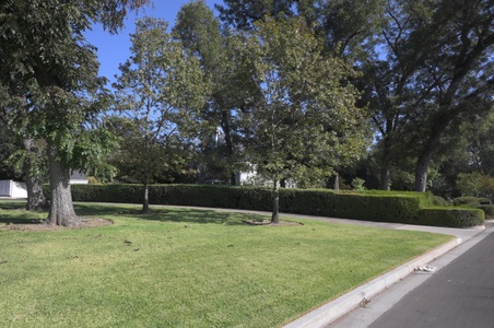 Enlarge photo 64
