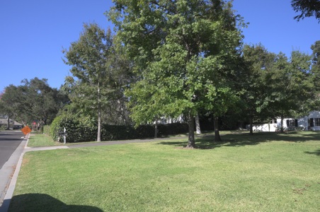 Enlarge photo 65
