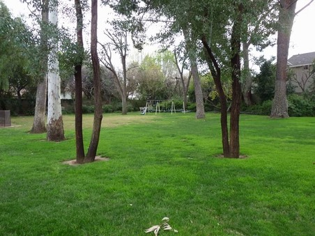 Enlarge photo 19