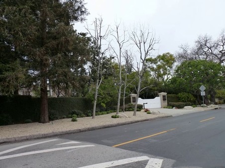 Enlarge photo 46
