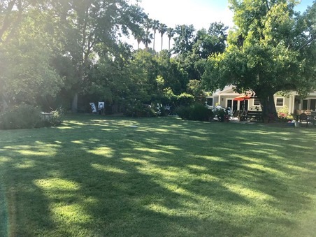 Enlarge photo 37