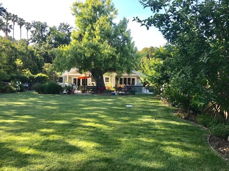 Enlarge photo 38