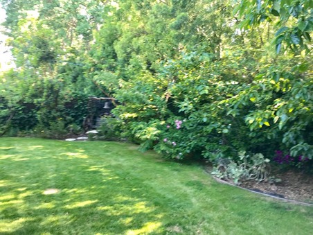 Enlarge photo 45