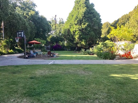 Enlarge photo 56