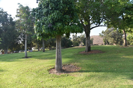 atherwood park
