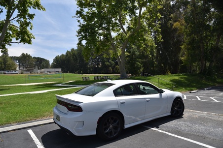 Enlarge photo 6