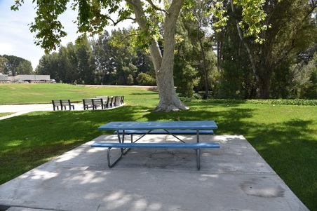 Enlarge photo 15