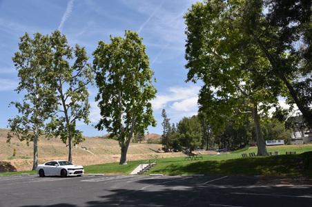 Enlarge photo 17