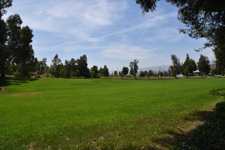 Enlarge photo 18
