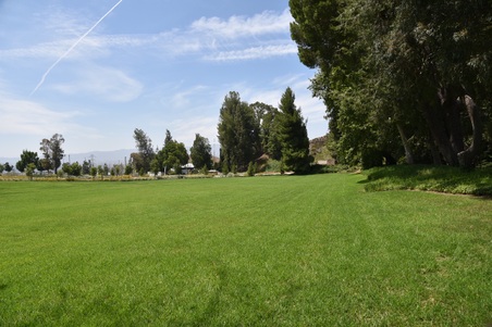 Parks