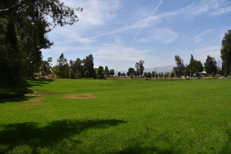 Enlarge photo 25