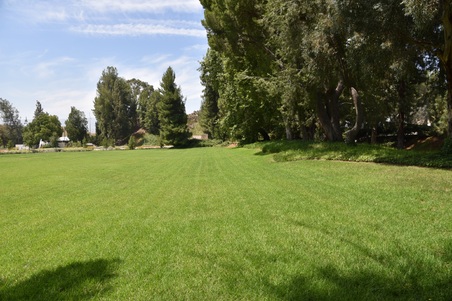 Enlarge photo 27