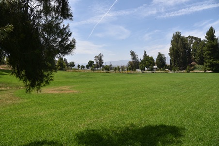Enlarge photo 28