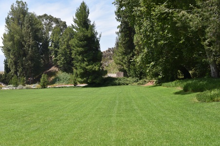 Enlarge photo 29