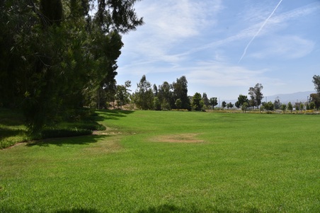 Enlarge photo 30