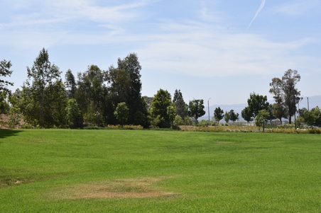 Enlarge photo 31