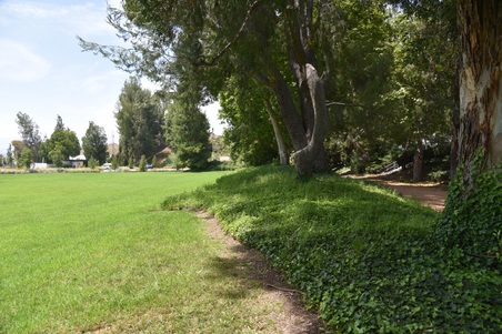 Enlarge photo 32