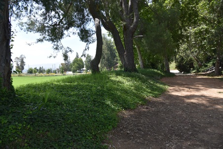 Enlarge photo 34