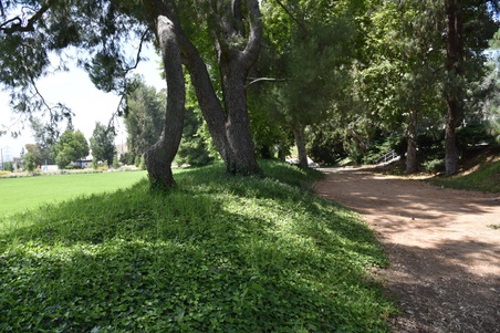 Enlarge photo 36