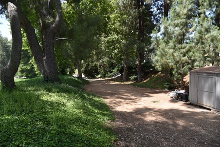 Enlarge photo 35