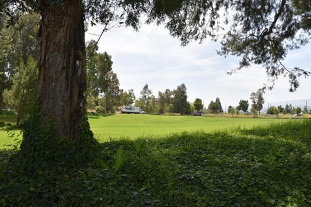Enlarge photo 38