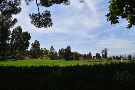 Enlarge photo 39